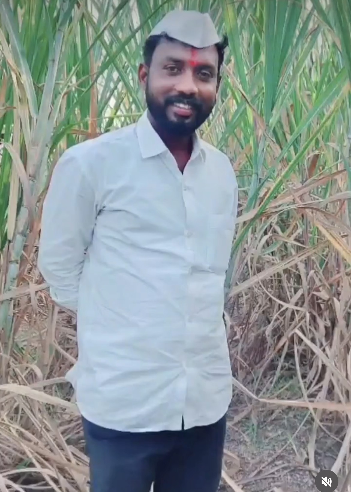सदस्य
